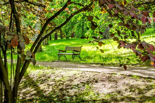 Lavička, zaparkovat, projít, relaxovat — Stock fotografie