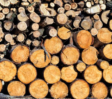 Kesme ahşap Tayland çiftliğinde doğal duvar olmak düzenlemek