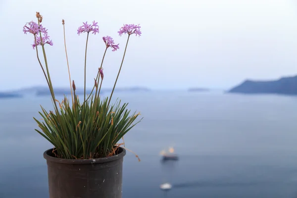 Santorini Island, Yunanistan