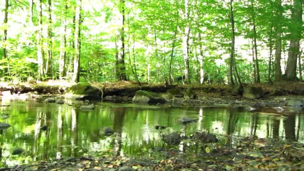 Hermosas vistas panorámicas del río . — Vídeos de Stock