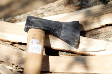 Axe, ormanda hangi tarih Pzr yatıyor günlüğe kaydeder