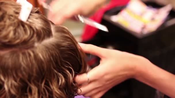 Tesoura de corte de cabelo das mulheres, salão de cabeleireiro — Vídeo de Stock