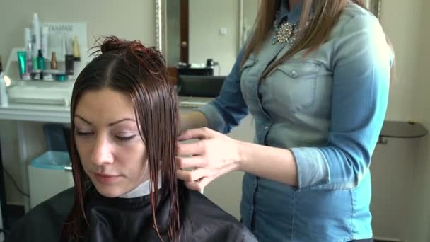 Stylist makes hairstyle woman — Stock Video