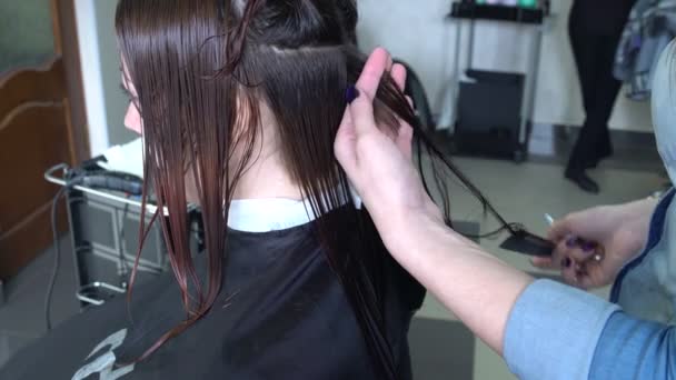 Friseur mäht lange Haare — Stockvideo