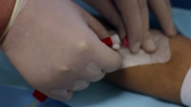 Doctor instala goteo en la vena del paciente — Vídeo de stock