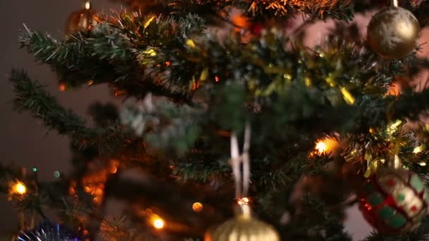 Decorare un albero di Natale — Video Stock