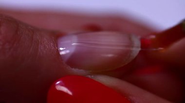 Gel Is Applied To The Nail