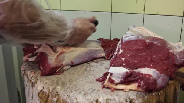 Butcher Cutting with Sharp Knife — Stock Video