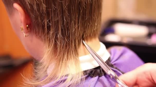 Cutting Hair With Scissors — Stock Video