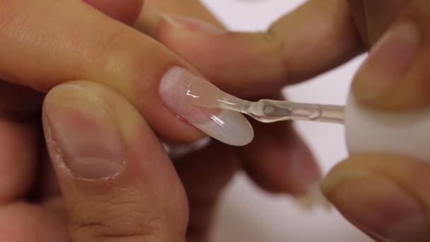 Aplicar barniz de uñas de gel en el injerto — Vídeos de Stock