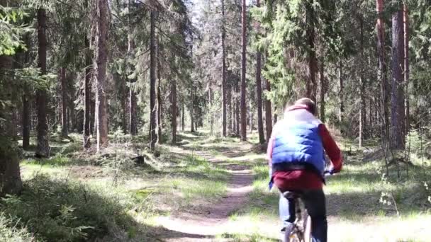 Hombre en bicicleta en el Bosque — Vídeos de Stock