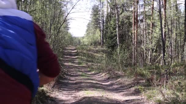 Άνδρας ιππασία ποδήλατο στο δάσος στο δρόμο — Αρχείο Βίντεο