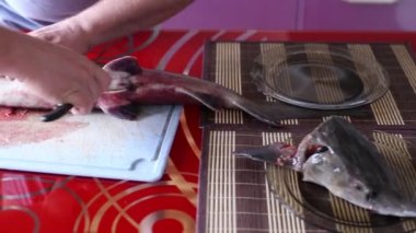 Bir balık adam keser göbeğini