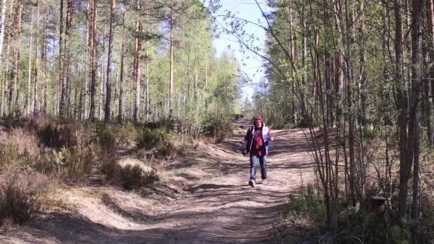 Hombre caminando en el bosque — Vídeo de stock