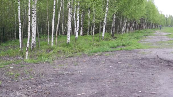 Tiener rijdt een fiets op een bospad — Stockvideo