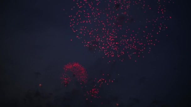 Saludo, Fuegos artificiales en el cielo nocturno — Vídeos de Stock