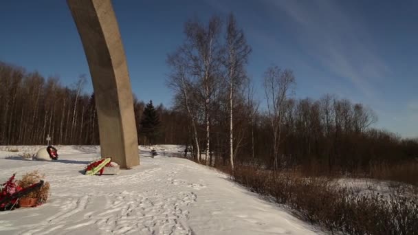 Панорама. Зима. Снежное небо — стоковое видео