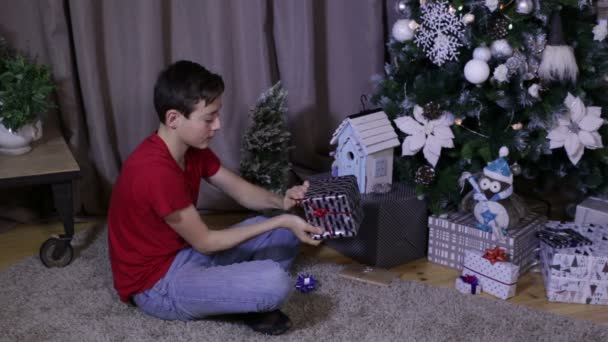 Junge bekommt Eröffnungsgeschenk und feiert Weihnachten — Stockvideo