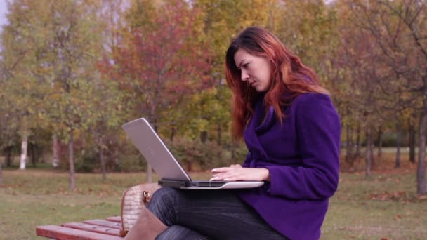 Banco no parque de outono. Uma mulher digitando em um laptop . — Vídeo de Stock
