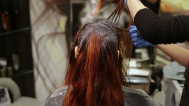 Hair stylist paints with a brush — Stock Video