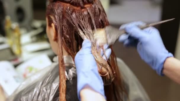 Coloración del cabello a lo largo de toda la longitud en un salón de belleza — Vídeo de stock