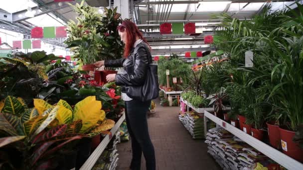 Uma mulher numa loja de flores — Vídeo de Stock