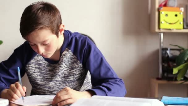 Adolescente chico haciendo tarea — Vídeos de Stock