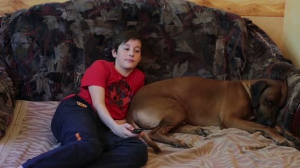 Хлопчик і собака Lieing на дивані і дивитися телевізор — стокове відео