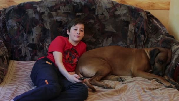 Ragazzo e cane sdraiato sul divano e guardando la TV — Video Stock