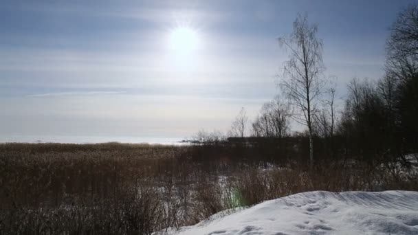 Panorama. Paisaje invernal. Naturaleza — Vídeos de Stock