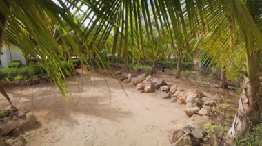 SAL REI, BOA VISTA, CAPE VERDE - MAYIS 02 2025: lüks RIU Palace Oteli 'nin varış yeri.