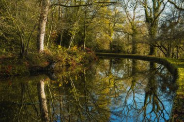 Caldon kanalı su yolu, Staffordshire, İngiltere, İngiltere 'nin Pırasa şubesi boyunca hareketli sonbahar manzaraları.