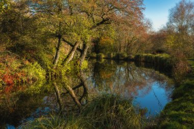 Caldon kanalı su yolu, Staffordshire, İngiltere, İngiltere 'nin Pırasa şubesi boyunca hareketli sonbahar manzaraları.