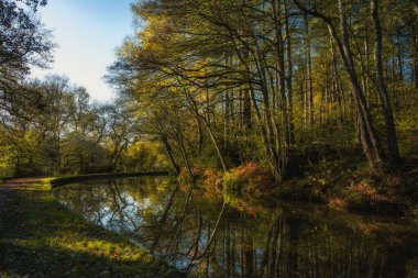 Caldon kanalı su yolu, Staffordshire, İngiltere, İngiltere 'nin Pırasa şubesi boyunca hareketli sonbahar manzaraları.