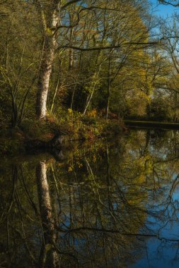 Staffordshire, İngiltere 'deki Caldon Kanalı' nın Pırasa dalı boyunca canlı sonbahar, güz ağacı ve yaprak renkleri..