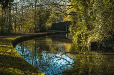 Endon, Staffordshire, İngiltere, İngiltere yakınlarındaki Caldon Kanalı 'nın Pırasalı Kanalı' nın 7. köprüsü..