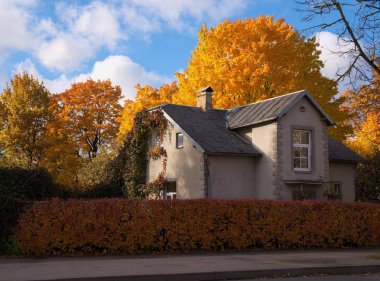 Evde sonbahar renkleri
