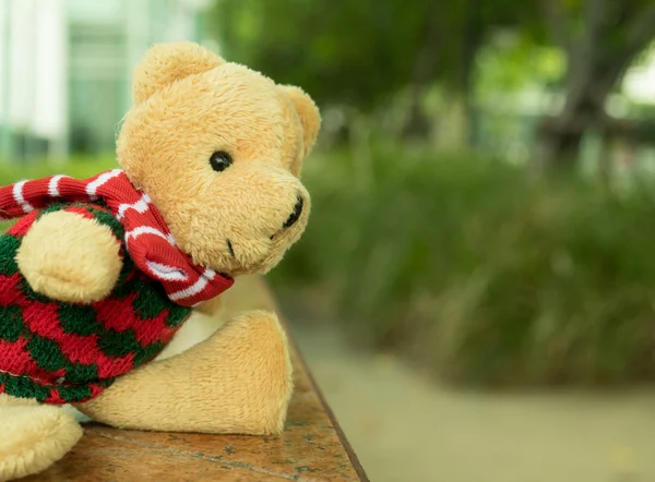 Cute teddy bear — Stock Photo, Image