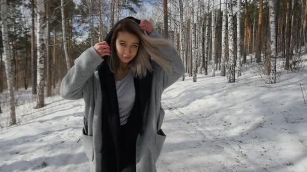 Mädchen spaziert im Winterwald — Stockvideo