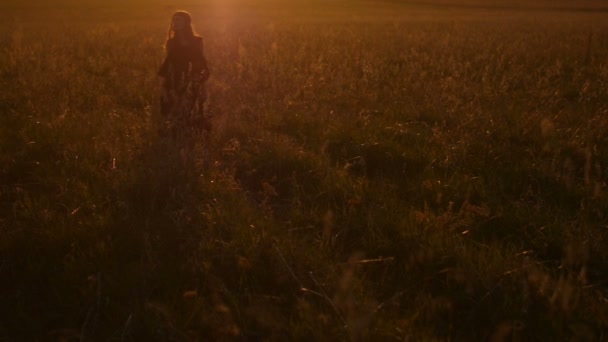 Krásná dívka stojící v poli při západu slunce. — Stock video