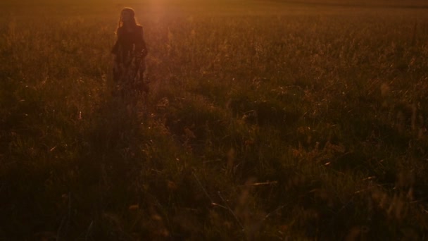 Hermosa chica de pie en el campo al atardecer . — Vídeo de stock