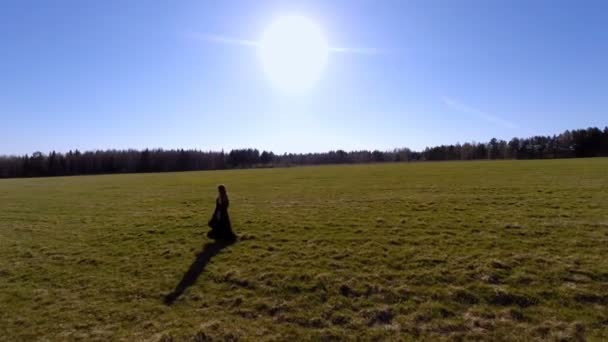 Het meisje loopt over het veld. Luchtfoto — Stockvideo