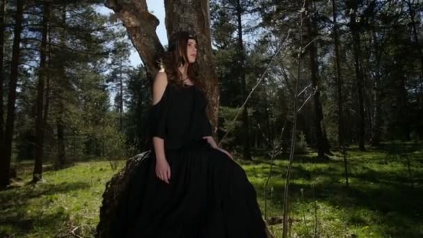 La chica se sienta de espaldas a un árbol en el sol — Vídeos de Stock