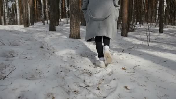 Flicka promenader i vinter skog — Stockvideo