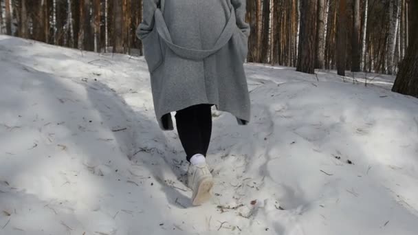 Menina caminhando na floresta de inverno — Vídeo de Stock