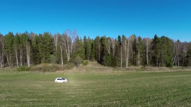 Voiture blanche va sur le terrain — Video