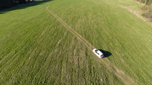 Biały samochód idzie na polu — Wideo stockowe