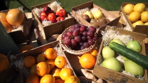 Färska frukter och grönsaker på bordet. — Stockvideo