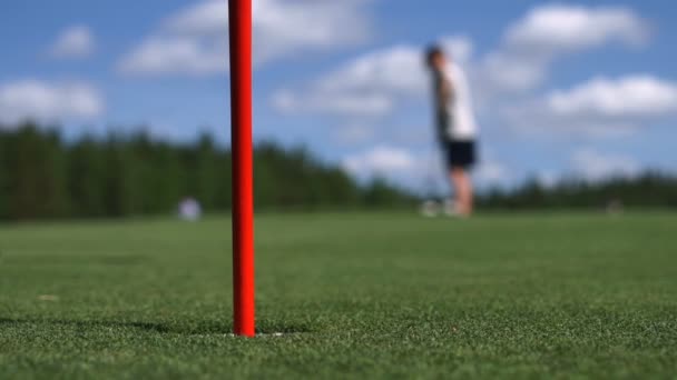 O homem acerta na bola de golfe. Campo de golfe — Vídeo de Stock