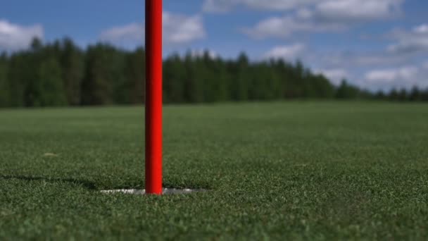 Mannen träffar golfbollen. Golfbana — Stockvideo